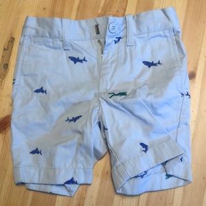 Free cuts shark light blue shorts